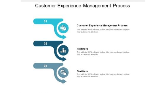 Customer Experience Management Process Ppt PowerPoint Presentation Model Infographics Cpb