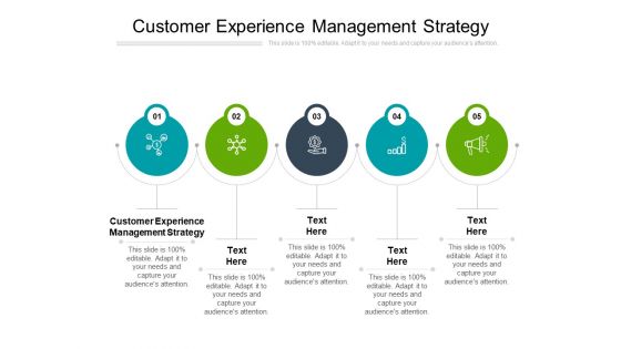 Customer Experience Management Strategy Ppt PowerPoint Presentation Gallery Graphics Cpb