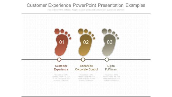 Customer Experience Powerpoint Presentation Examples