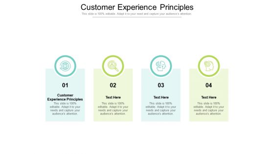 Customer Experience Principles Ppt PowerPoint Presentation Inspiration Example Topics Cpb Pdf