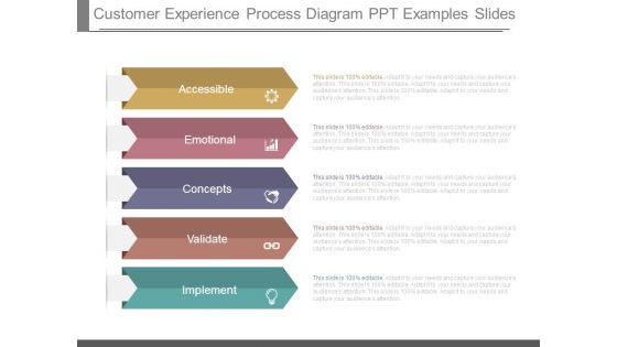 Customer Experience Process Diagram Ppt Examples Slides