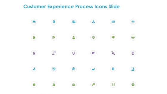 Customer Experience Process Icons Slide Ppt Layouts Gallery PDF