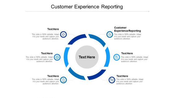 Customer Experience Reporting Ppt PowerPoint Presentation Portfolio Shapes Cpb