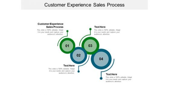 Customer Experience Sales Process Ppt PowerPoint Presentation Layouts Professional Cpb Pdf