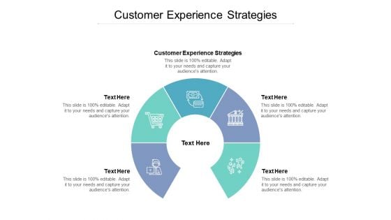 Customer Experience Strategies Ppt PowerPoint Presentation Inspiration Vector Cpb