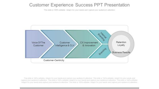 Customer Experience Success Ppt Presentation