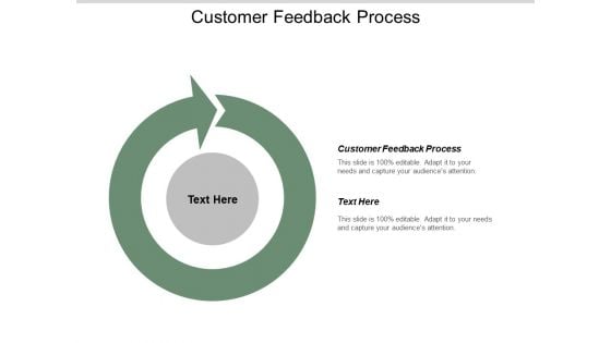 Customer Feedback Process Ppt PowerPoint Presentation Outline Portfolio Cpb