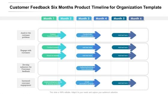 Customer Feedback Six Months Product Timeline For Organization Template Background