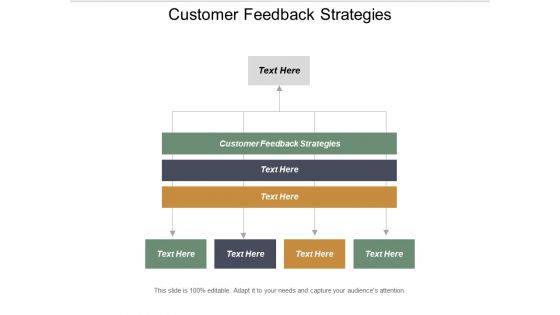 Customer Feedback Strategies Ppt PowerPoint Presentation Infographic Template Graphics Pictures Cpb