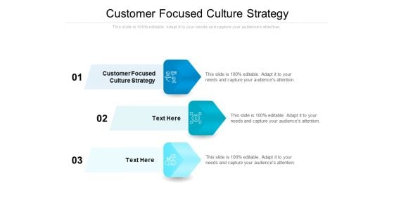 Customer Focused Culture Strategy Ppt PowerPoint Presentation Styles Graphics Tutorials Cpb