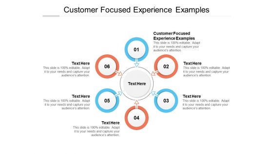 Customer Focused Experience Examples Ppt PowerPoint Presentation Layouts Sample Cpb