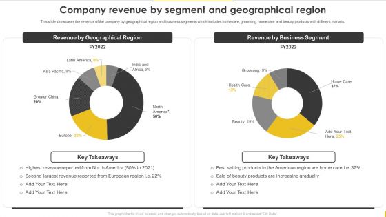 Customer Goods Production Company Revenue By Segment And Geographical Brochure PDF