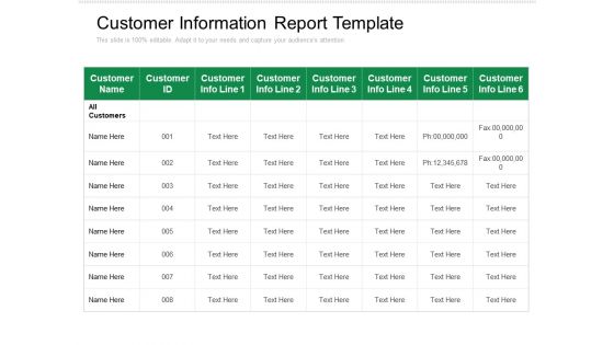 Customer Information Report Template Ppt PowerPoint Presentation Professional Themes PDF
