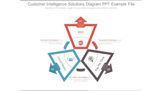 Customer Intelligence Solutions Diagram Ppt Example File