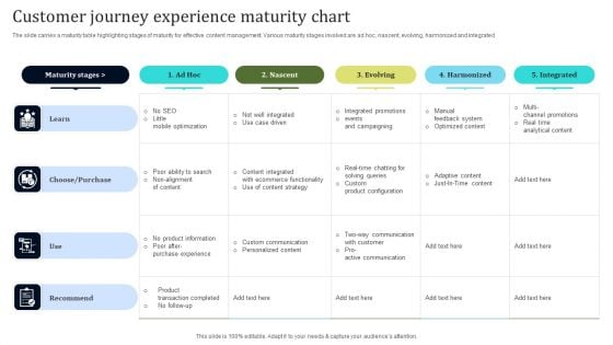 Customer Journey Experience Maturity Chart Demonstration PDF