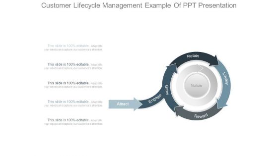 Customer Lifecycle Management Example Of Ppt Presentation