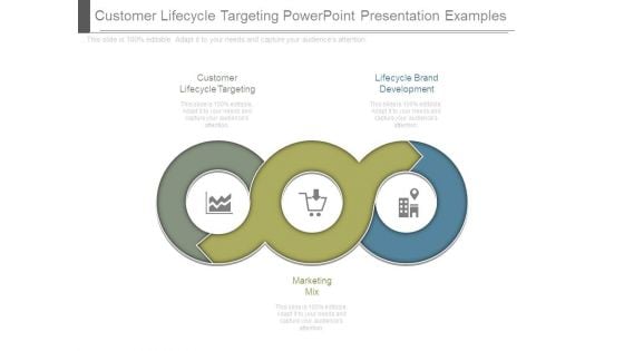 Customer Lifecycle Targeting Powerpoint Presentation Examples