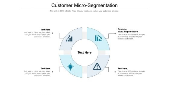 Customer Micro Segmentation Ppt PowerPoint Presentation Infographic Template Elements Cpb Pdf