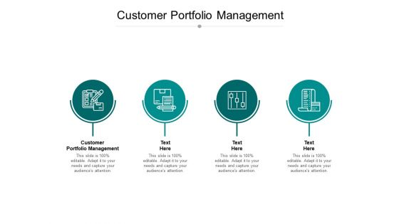 Customer Portfolio Management Ppt PowerPoint Presentation Show Files Cpb