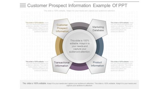 Customer Prospect Information Example Of Ppt