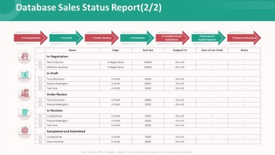 Customer Relationship Management Action Plan Database Sales Status Report Gride Summary PDF