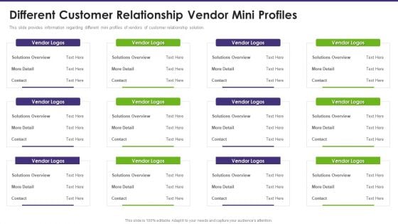 Customer Relationship Management Different Customer Relationship Vendor Mini Profiles Infographics PDF