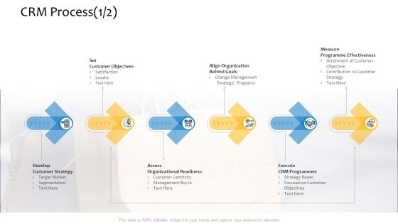 Customer Relationship Management Procedure CRM Process Strategy Ppt Professional Portfolio PDF