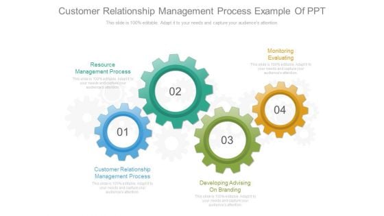Customer Relationship Management Process Example Of Ppt