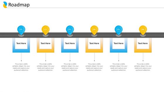 Customer Relationship Management Roadmap Ppt Gallery Pictures PDF