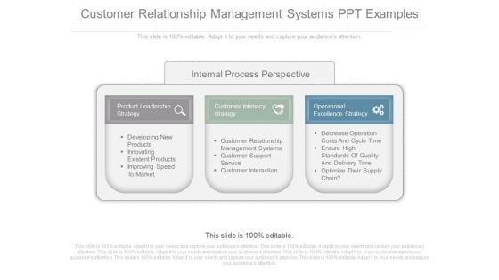 Customer Relationship Management Systems Ppt Examples