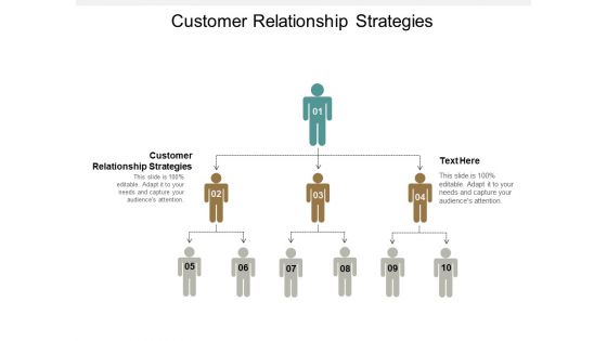 Customer Relationship Strategies Ppt PowerPoint Presentation Gallery Professional Cpb