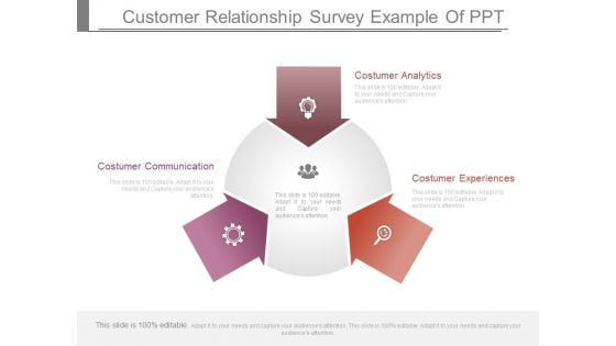 Customer Relationship Survey Example Of Ppt Customer Relationship Survey Example Of Ppt