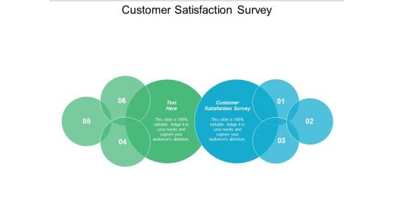 Customer Satisfaction Survey Ppt PowerPoint Presentation Styles Show Cpb