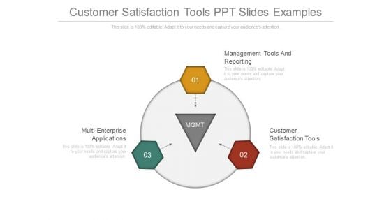 Customer Satisfaction Tools Ppt Slides Examples