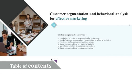 Customer Segmentation And Behavioral Analysis For Effective Marketing Tables Of Content Guidelines PDF