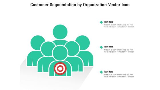 Customer Segmentation By Organization Vector Icon Ppt PowerPoint Presentation Gallery Examples PDF