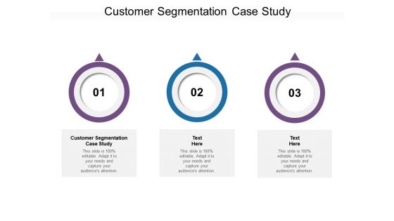 Customer Segmentation Case Study Ppt PowerPoint Presentation Styles Graphics Design Cpb Pdf