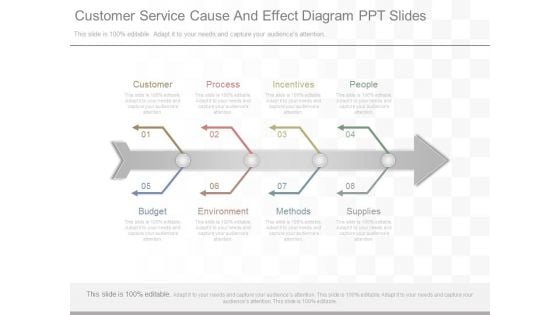 Customer Service Cause And Effect Diagram Ppt Slides