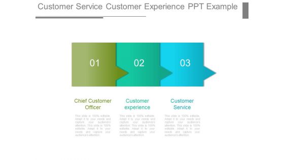 Customer Service Customer Experience Ppt Example