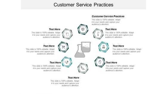 Customer Service Practices Ppt PowerPoint Presentation Infographic Template Summary Cpb