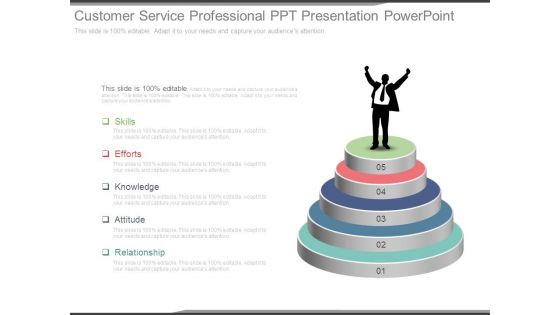 Customer Service Professional Ppt Presentation Powerpoint