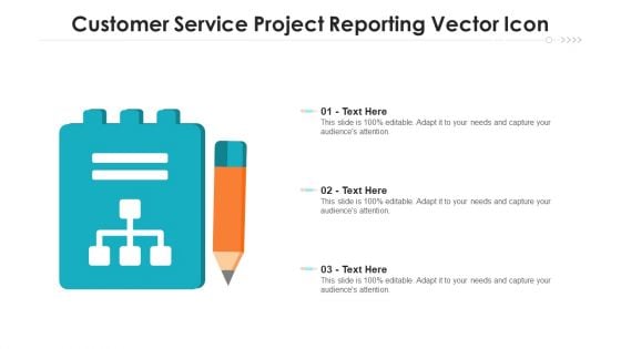 Customer Service Project Reporting Vector Icon Ppt Summary Infographic Template PDF