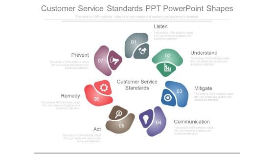 Customer Service Standards Ppt Powerpoint Shapes