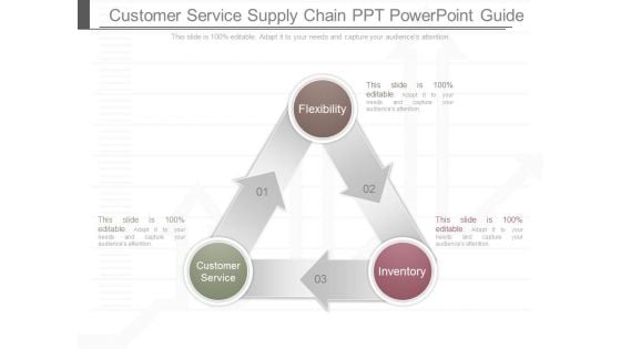 Customer Service Supply Chain Ppt Powerpoint Guide