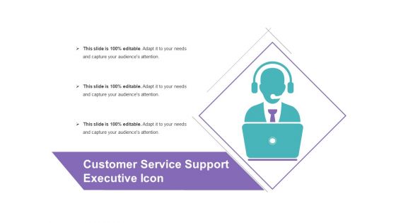 Customer Service Support Executive Icon Ppt PowerPoint Presentation Infographic Template Graphic Tips PDF