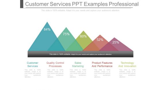 Customer Services Ppt Examples Professional