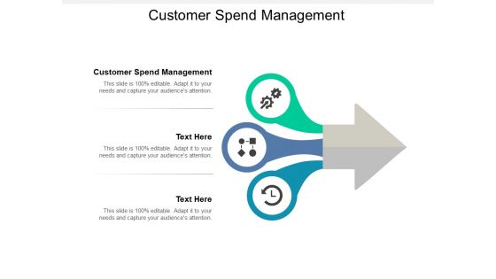 Customer Spend Management Ppt PowerPoint Presentation Pictures Designs