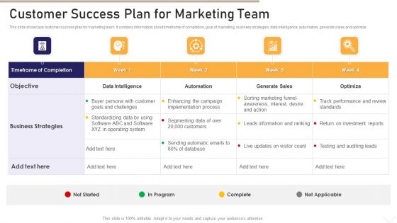 Customer Success Plan For Marketing Team Formats PDF