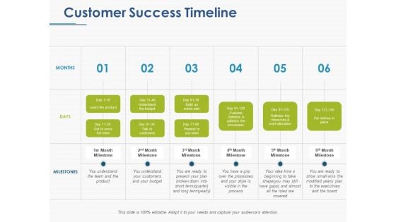 Customer Success Timeline Ppt PowerPoint Presentation Themes