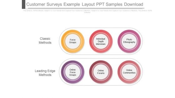 Customer Surveys Example Layout Ppt Samples Download